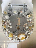 Heavy Duty Comfort Seahorse Seashells Oval Elongated Toilet Seats with Cover Acrylic Seats. (New Sea Clear