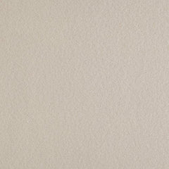 Sunbeam Heated Blanket | 10 Heat Settings, Quilted Fleece, Seashell Beige, Queen