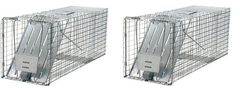 Havahart 1079 Live Animal Professional-Style One-Door Raccoon, Groundhog, Opossum, and Stray Cat Cage Trap (2 PACK)