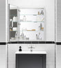 KOHLER K-99007-NA Verdera 24-Inch By 30-Inch Slow-Close Medicine Cabinet With Magnifying Mirror