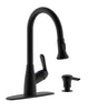 Single Handle Pull-Down Kitchen Faucet (with soap dispenser and deck plate Matte Black)