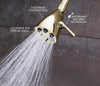 Speakman S-2252-PB-E2 Signature Brass Icon Anystream Adjustable Shower Head, Polished Brass