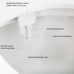 Bidet Attachment With Dual Nozzles and Self Cleaning